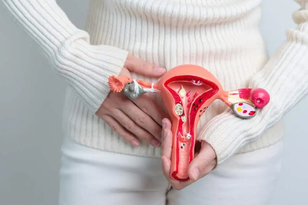 Understanding Uterine Fibroids Causes and Symptoms